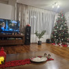 VILA / BUCURESTII NOI  thumb 9