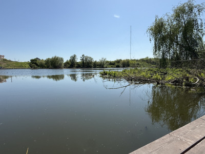 TEREN LA LAC SNAGOV IN TANCABESTI CU CASA 