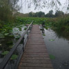 TEREN LA LAC SNAGOV IN TANCABESTI CU CASA  thumb 2