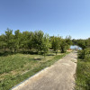 TEREN LA LAC SNAGOV IN TANCABESTI CU CASA  thumb 5