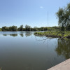TEREN LA LAC SNAGOV IN TANCABESTI CU CASA  thumb 6