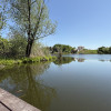 TEREN LA LAC SNAGOV IN TANCABESTI CU CASA  thumb 7