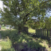 TEREN LAC SNAGOV thumb 7