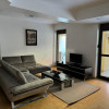 APARTAMENT SOSEAIUA NORDULUI CU GRADINA thumb 2